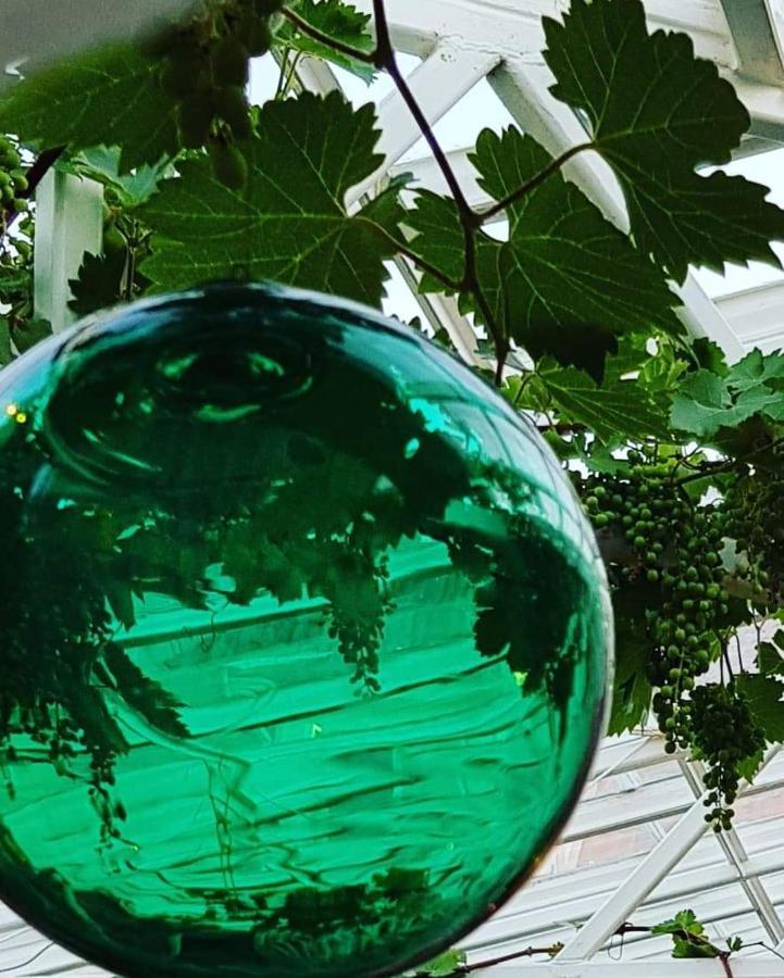 Apartmán Havings Skafferi Lysekil Exteriér fotografie